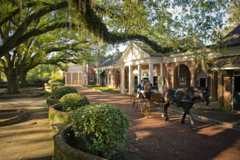 The idyllic environment of Pebble Hill Plantation is a perfect way to get away from everyday life for a while.