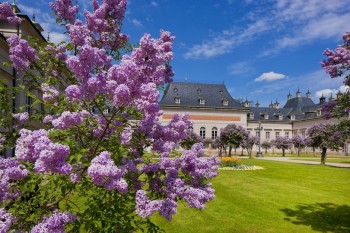 The castle and park form a unique ensemble of architecture, nature, and history.