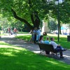 The green oasis of the city.