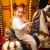The colorful carousel guarantees fun-filled rides for the little ones.