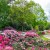 With over 1,000 varieties of rhododendrons and azaleas, old giant trees and a variety of themed areas, the Rhododendron Park Bremen is one of the most diverse gardens in Europe.