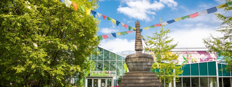 In the heart of the park lies botanika – Bremen's green world of discovery, featuring tropical greenhouses, a butterfly house, and interactive exhibits focused on the plant world.