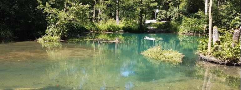 The Rhume spring near Rhumspringe is one of the largest karst springs in Europe.