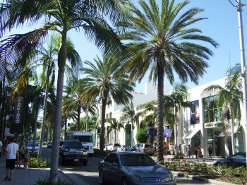Rodeo Drive, lined with palm trees.