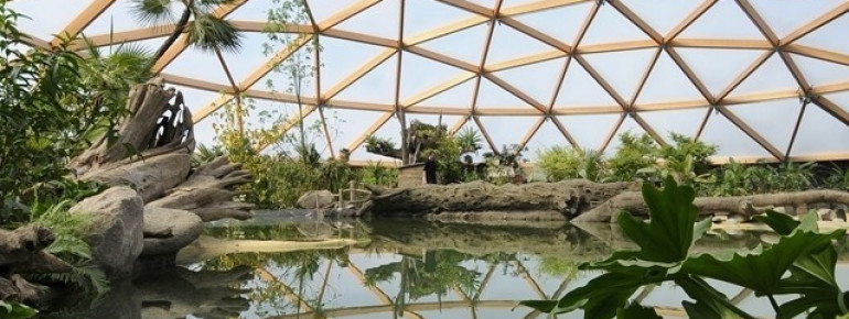 At Blijdorp Zoo animals may move in water as well as on land