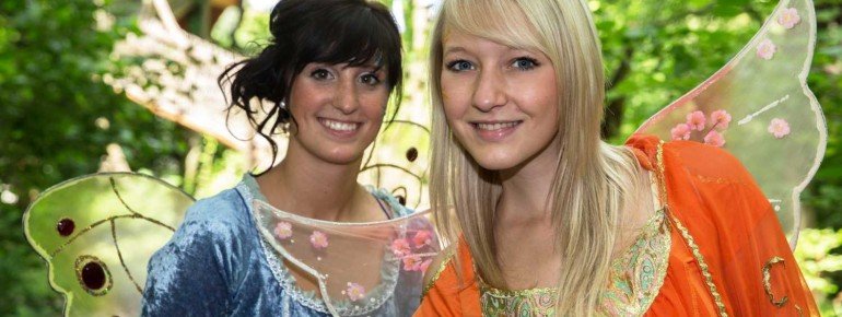 Magical fairies in the fairy world