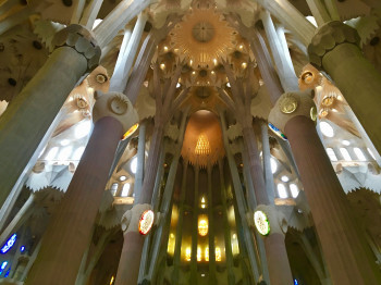 View of the stunning interior of the Sagrada Família in Barcelona.