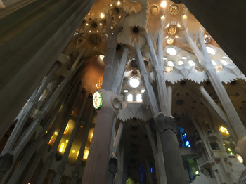 The tree-like column structure characterizes the interior of the church.