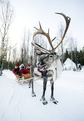 Santa Claus, reindeer, Finland