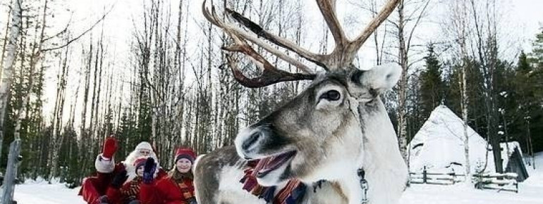 Santa Claus, reindeer, Finland