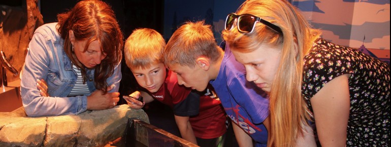 Sea Life Konstanz is a place of education, entertainment and protection of the marine world.