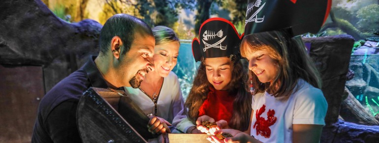 The changing theme weeks offer varied experiences.