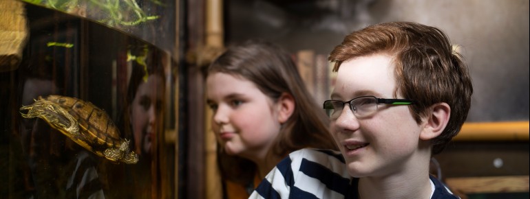 There are interactive elements for children in the aquarium.