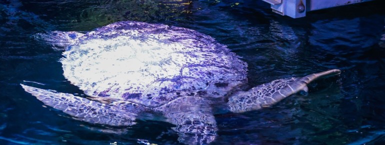 The backstage tour offers you an exclusive look behind the scenes.