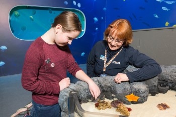 The touch tank houses a variety of marine life.