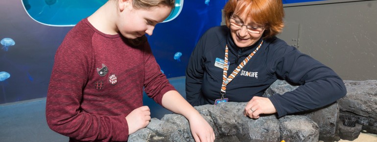 The touch tank houses a variety of marine life.