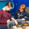 The touch tank houses a variety of marine life.