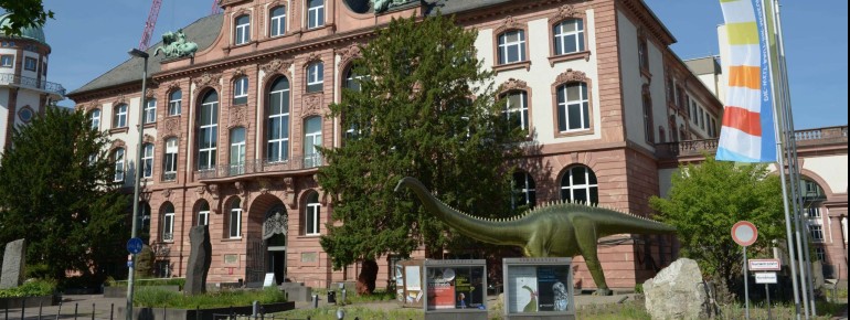 The Senckenberg Natural History Museum in Frankfurt am Main opens its doors daily at 9 a.m.