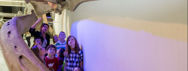 Life-sized skeletons can be viewed up close at the Senckenberg Natural History Museum.