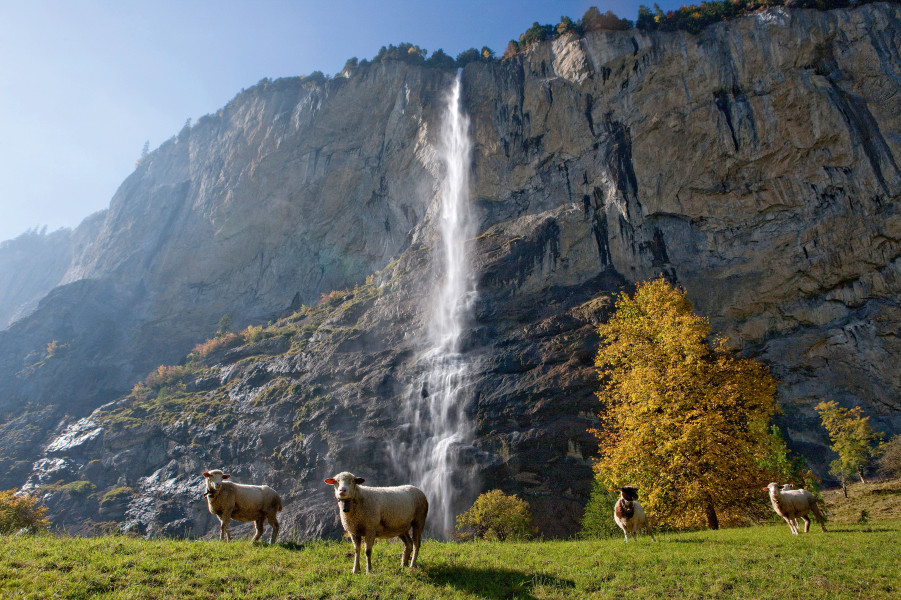 Staubbach Falls Lauterbrunnen • Tourist Attraction Interlaken