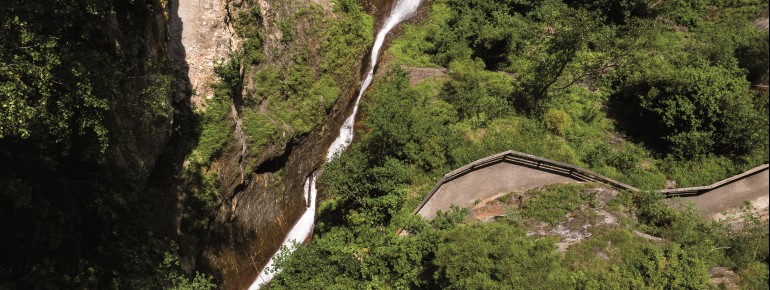 The Gadaunerer Gorge combines impressive nature with quiet originality. Of course, waterfalls are also a key feature of this stunning landscape.