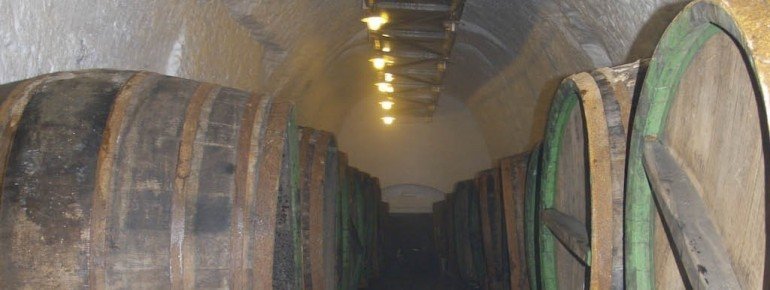 Way through the historic brewery cellar