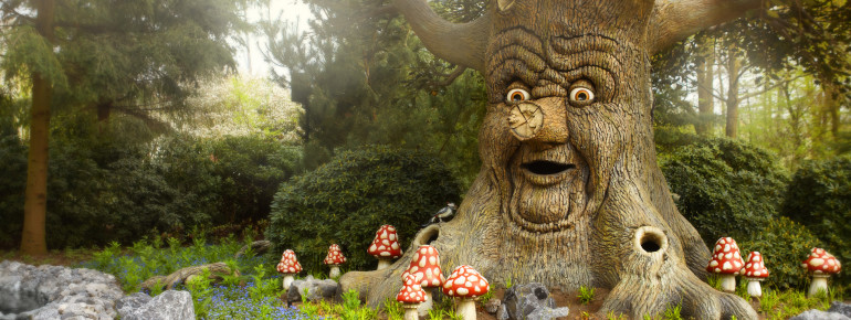 A talking tree can be found in the fairy tale forest.