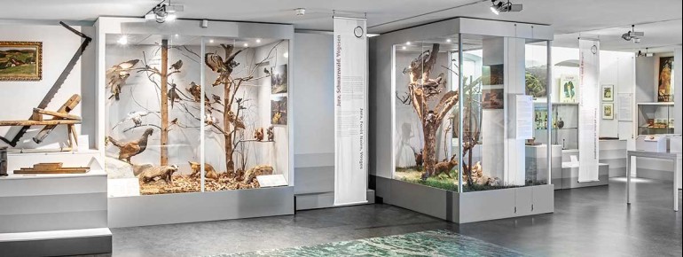 A part of an exhibition at the three lands museum.