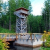 Fire watchtower at Tillamook Forest Center