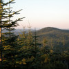 View on the entire Tillamook State Forest