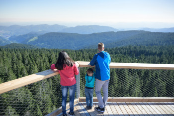 On clear days, you can see hundreds of miles from the observation tower.