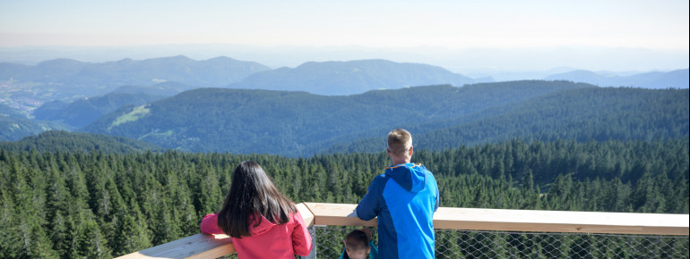 On clear days, you can see hundreds of miles from the observation tower.