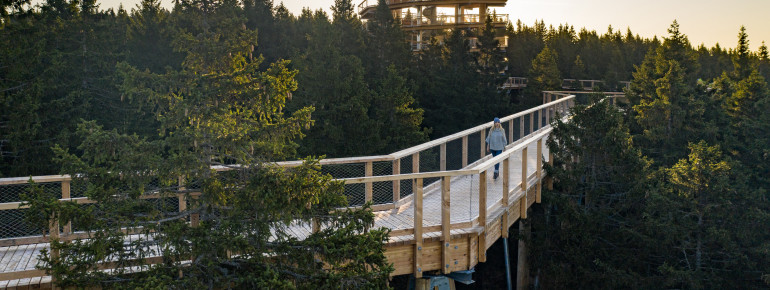 The treetop path is located in the Pohorje, the densely wooded mountains west of Maribor.