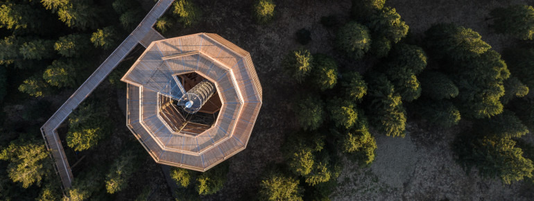 A total of 1043 meters long is Slovenia's first treetop walk.