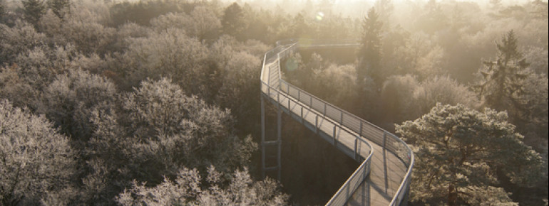 The Beelitz-Heilstätten treetop trail is open all year round.