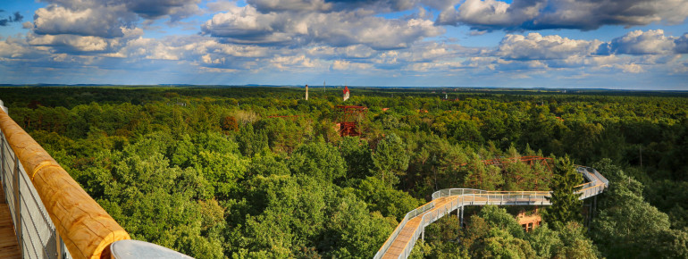 View from the 40 metre high tower