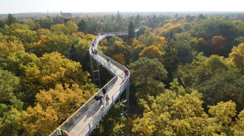 From the tower you can overlook the 320-metre-long treetop trail.