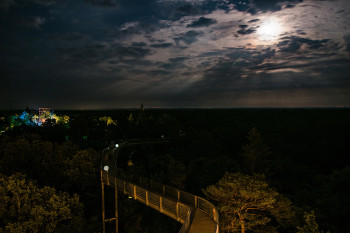The treetop path is a special experience at night.