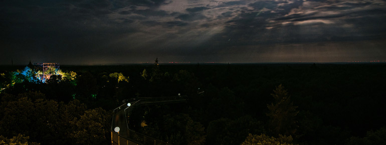 The treetop path is a special experience at night.