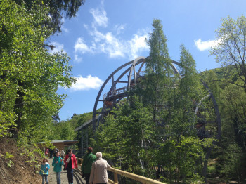 The 1,000 m long tree-top walk starts from the entrance crown.