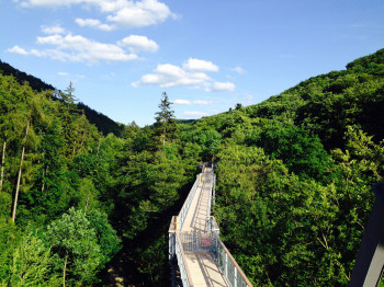 The treetop path is located in the middle of Bad Harzburg's spa gardens.