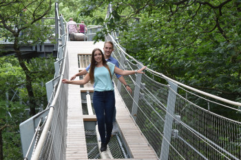 Adventure elements such as the suspension bridge with various wobbly elements can be found along the trail.