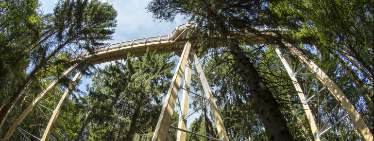 The path is up to 23 metres high.