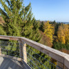 From the highest point of the treetop path you have a magnificent view.