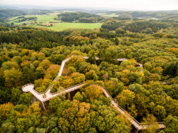 The Panarbora treetop path is located in the Bergisches Land region.