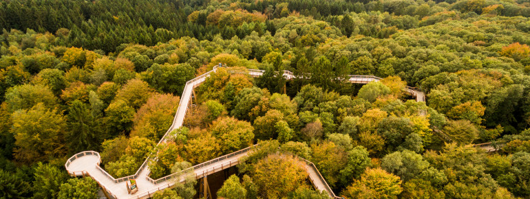 The Panarbora treetop path is located in the Bergisches Land region.