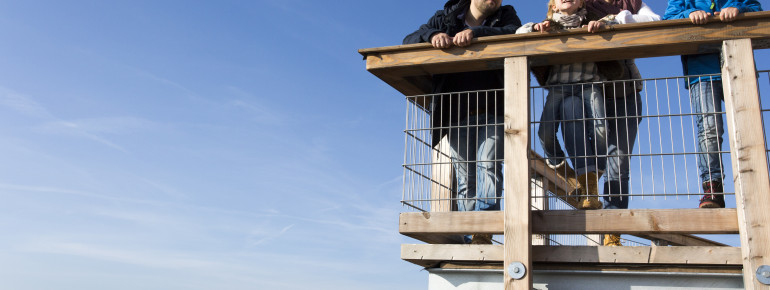 The Panarbora treetop walk takes you high above the ground.
