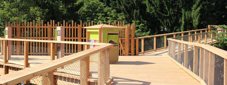 The treetop path is open all year round.