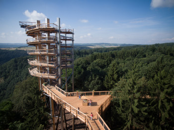 The large tree tower is the highlight of the tree-top walk.