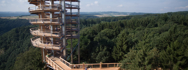 The large tree tower is the highlight of the tree-top walk.
